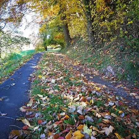 Semesterbostad Modern With Alps Scenic Views And Concierge By Swisshut *